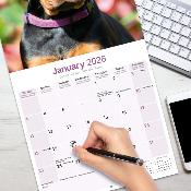 CALENDRIER 2026 - DOBERMAN