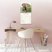 CALENDRIER 2026 - ELEPHANTS