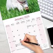 CALENDRIER 2026 - JACK RUSSEL