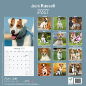 CALENDRIER 2027 - JACK RUSSELL