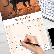 CALENDRIER 2026 -PINSCHER NAIN