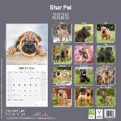 CALENDRIER 2026 - SHAR PEI