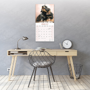CALENDRIER 2027 - TECKEL POIL DUR