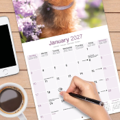 CALENDRIER 2027 - YORKSHIRE TERRIER