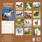 CALENDRIER 2022 - CHEVAUX ARABES