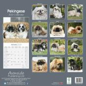 CALENDRIER 2022 - PEKINOIS