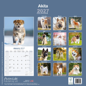 CALENDRIER 2027 - AKITA INU
