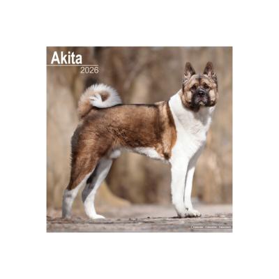 CALENDRIER 2026 - AKITA INU