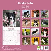CALENDRIER 2026 - BORDER COLLIE