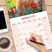 CALENDRIER 2027 - BRAQUE HONGROIS