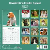 CALENDRIER 2026 - CAVALIER KING CHARLES