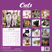CALENDRIER 2027 - CHATS DIVERSES RACES