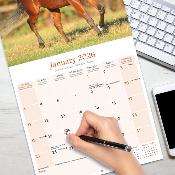 CALENDRIER 2026 - CHEVAUX ARABES