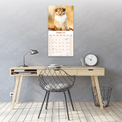 CALENDRIER 2027 - COLLEY