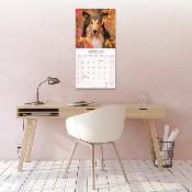 CALENDRIER 2026 - COLLEY