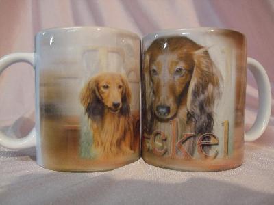TASSE/MUG -  Chien TECKEL POIL LONG
