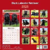 CALENDRIER 2026 -LABRADOR NOIR