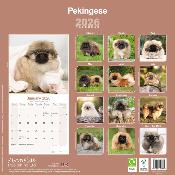 CALENDRIER 2026 - PEKINOIS