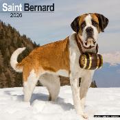 CALENDRIER 2026 - SAINT BERNARD