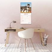 CALENDRIER 2026 - SIBERIAN HUSKY