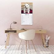 CALENDRIER 2026 - WEST HIGHLAND TERRIER