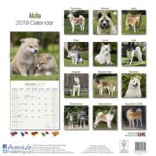 CALENDRIER 2019 - AKITA INU