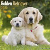 CALENDRIER 2022 - GOLDEN RETRIEVER