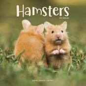 CALENDRIER 2022 - HAMSTERS