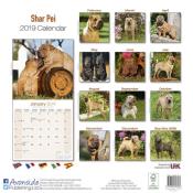 CALENDRIER 2019 - SHAR PEI