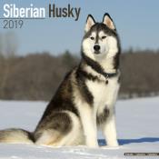 CALENDRIER 2019 - HUSKY