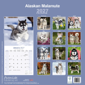 CALENDRIER 2027 - ALASKAN MALAMUTE