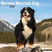 CALENDRIER 2026 - BOUVIER BERNOIS