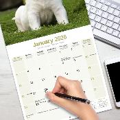 CALENDRIER 2026 - BULL TERRIER