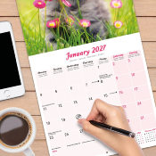 CALENDRIER 2027 - CHATONS  DIVERSES RACES