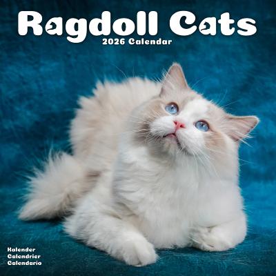 CALENDRIER 2026 - CHATS RADGOLL
