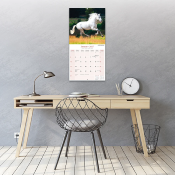 CALENDRIER 2027 - CHEVAUX