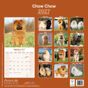 CALENDRIER 2027 - CHOW CHOW