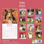 CALENDRIER 2026 - COLLEY