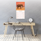 CALENDRIER 2027 - ELEPHANTS