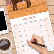 CALENDRIER 2027 - ELEPHANTS