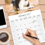 CALENDRIER 2027 - FOX TERRIER