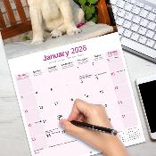 CALENDRIER 2026 -LABRADOR SABLE