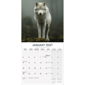 CALENDRIER 2027 - LOUPS