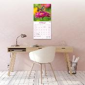 CALENDRIER 2026 - PAPILLONS INSECTES