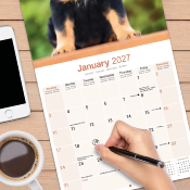 CALENDRIER 2027 - ROTTWEILER