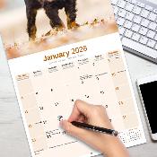 CALENDRIER 2026 - SETTER GORDON