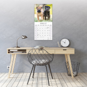 CALENDRIER 2027 - SHAR PEI