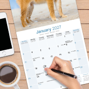 CALENDRIER 2027 - SHIBA INU