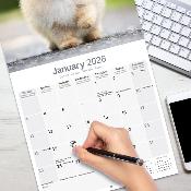 CALENDRIER 2026 - SPITZ NAIN