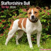CALENDRIER 2026 - STAFFORDSHIRE BULL TERRIER